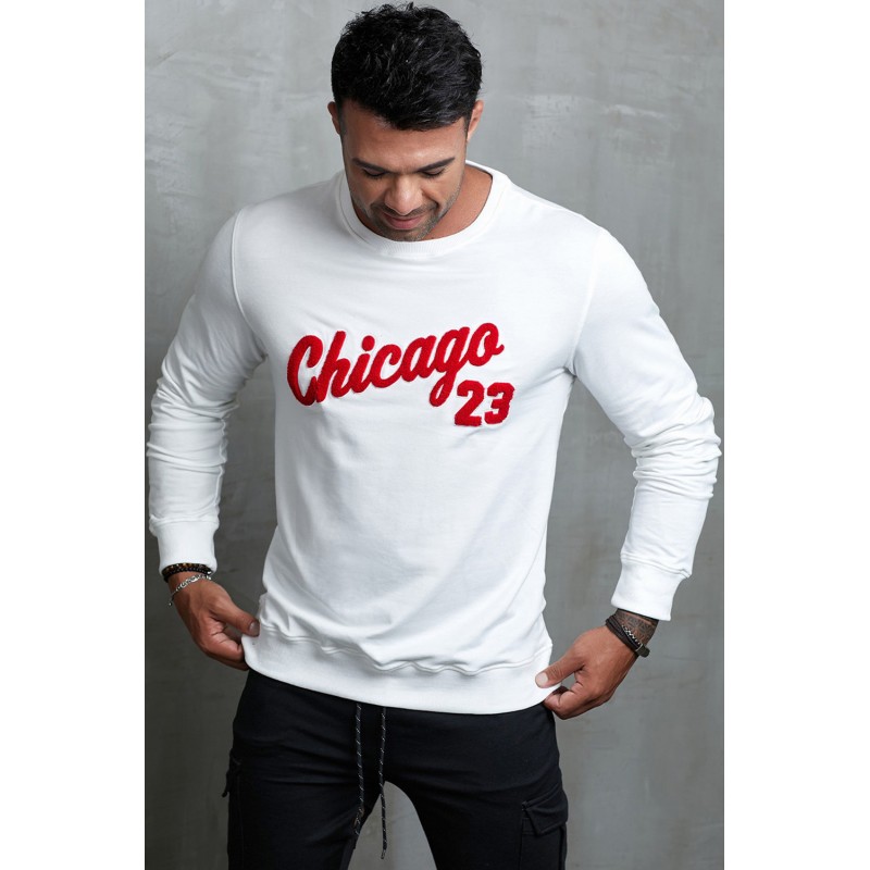 Letter Print Crew Neck Men's Pullover Sweatshirt